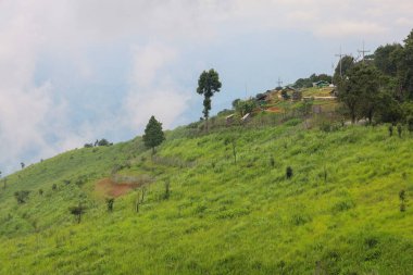 Manzara, Tayland 'da yağmur mevsiminde doğa dağının yeşil çimenleridir.