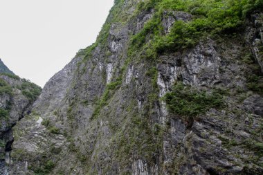 Hualien, Tayvan 'daki Taroko Ulusal Parkı' ndaki doğa manzarası.