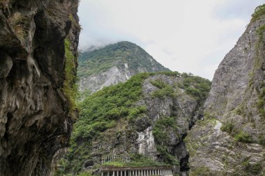 Hualien, Tayvan 'daki Taroko Ulusal Parkı' ndaki doğa manzarası.