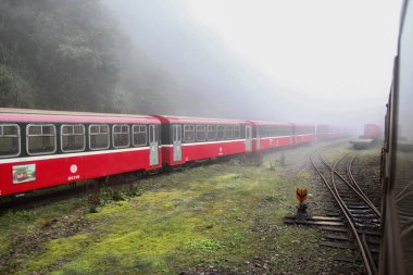 Alishan, Tayvan-14 Ekim 2018: Sisli bir günde Alishan Dağı, Tayvan 'daki alishan tren istasyonunda kırmızı tren durağı.