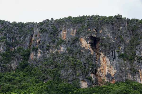 Vista Montaña Parque Natural Tailandia —  Fotos de Stock