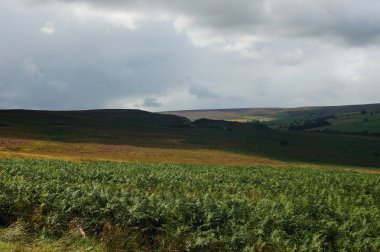 Yorkshire'da bulutların altında manzara