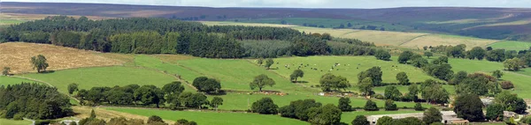 Panorama Dello Yorkshire — Foto Stock