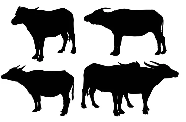 Silhouette Buffalo Isolé Sur Fond Blanc Buffalo Thai Sur Fond — Image vectorielle