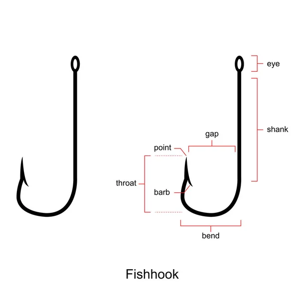 Ανατομία Ενός Γάντζο Ψαριού Που Απομονώνεται Λευκή Απεικόνιση Διανυσματικού Φορέα — Διανυσματικό Αρχείο