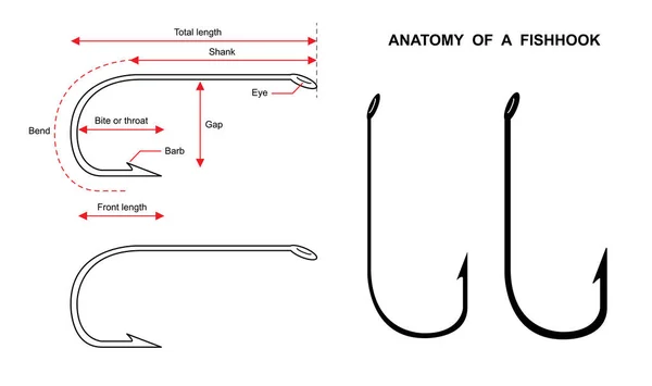 Anatomie Háčku Rybí Hák Izolovaný Bílém Pozadí Ilustrace — Stockový vektor