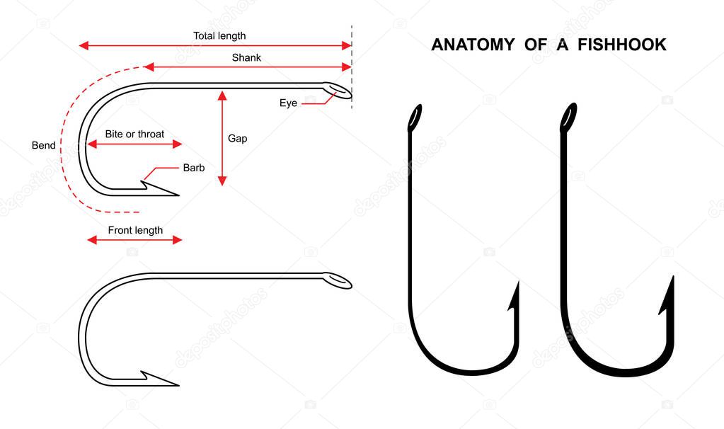 Anatomy of a fish hook Fish hook isolated on white background vector illustration
