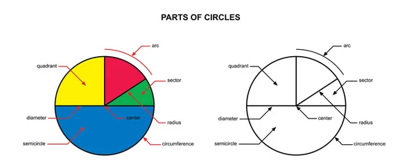 วนของวงกลม ณสมบ ของวงกลม ณสมบ เรขาคณ ตวงกลม ปแบบพ วระนาบ — ภาพเวกเตอร์สต็อก