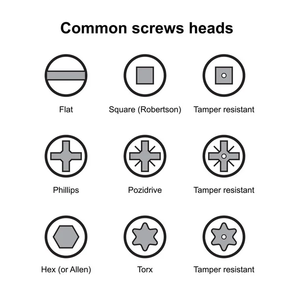 Têtes Vis Communes Types Fentes Boulons Têtes Tête Vis Instructions — Image vectorielle