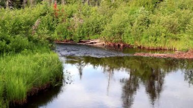 Olacak road, çam Nehri Doğu köprüden arıyorsunuz