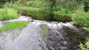 Havza depo kabin creek su küçük Kunduz Barajı akan