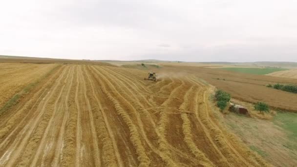 Luftaufnahmen Landwirte Mit Mähdreschern Ernten Auf Dem Feld Reife Gerste — Stockvideo