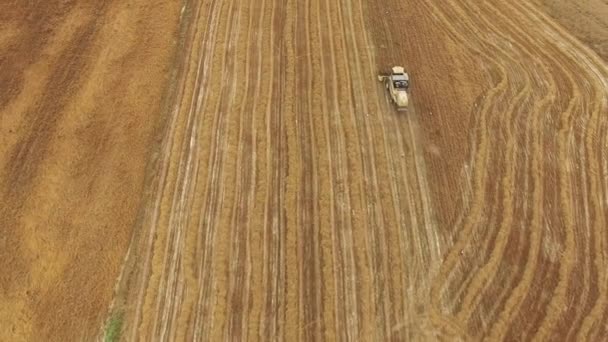 Disparo Aéreo Los Agricultores Combinar Cosecha Máquina Cebada Madura Campo — Vídeo de stock