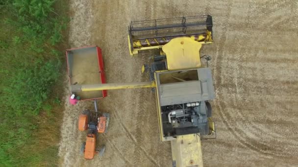 Luftaufnahmen Landwirte Mit Mähdreschern Ernten Auf Dem Feld Reife Gerste — Stockvideo