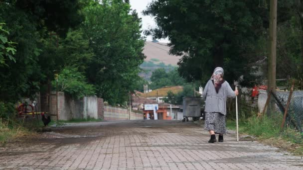 Old Peasant Woman Old Peasant Woman Walking Road Her Walking — Video