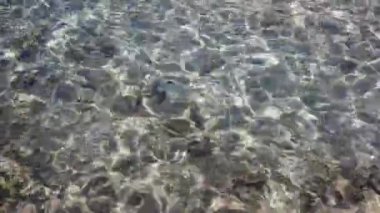 Temiz bir deniz manzarası. Sığ denizden gelen ışık. Hafif dalgalı deniz.
