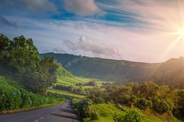 Sunset Valley Jednotky Silniční Amoing Hory Zelené Kopce Bujnou Květiny — Stock fotografie