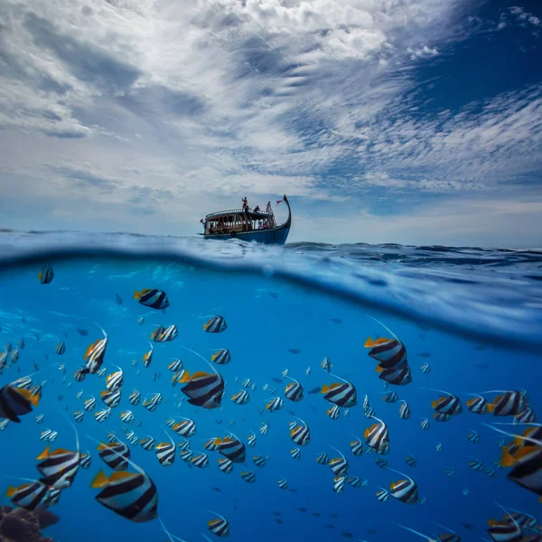 Pesci Secchi Sott Acqua Sotto Autentica Barca Maldiviana Sfondo Tropicale — Foto Stock