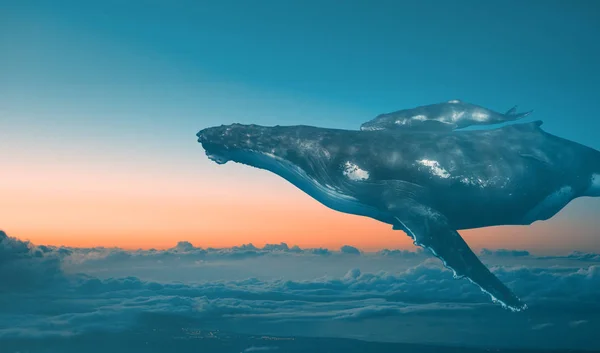 Whales Family, baby and mother in The Sky