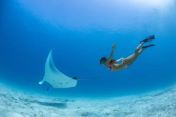 Ocean Vatten Bakgrund Underwater Manta Och Flicka Dykning — Stockfoto