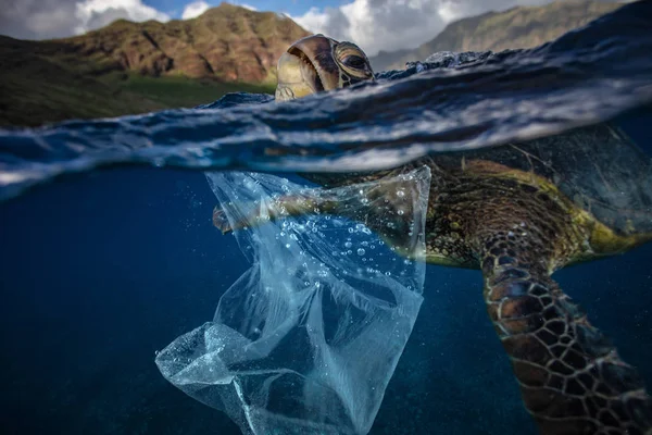 Contaminación Ambiental Del Agua Problema Plástico Con Fauna Submarina — Foto de Stock