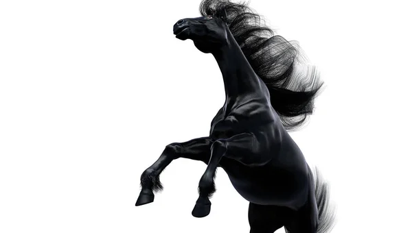 Svart Häst Stående Vit Bakgrund Isolerade — Stockfoto