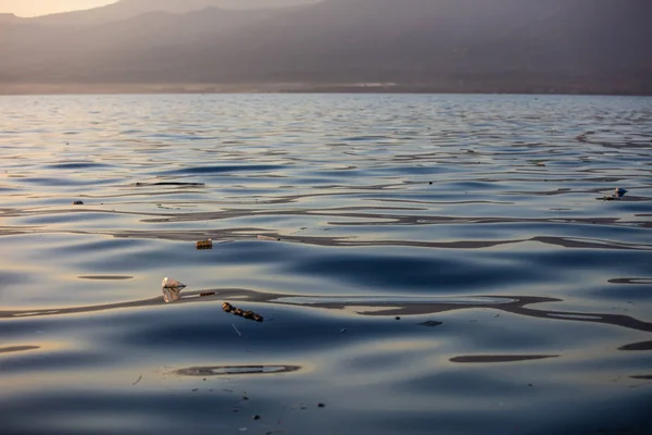 Morgen Ozeanwasser Mit Plastikmüll Darauf Umweltverschmutzung Problem — Stockfoto