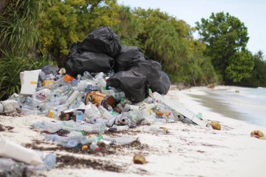 Mangrooves tarafından deniz suyu arasında tropikal beyaz kum plaj plastik çöp 
