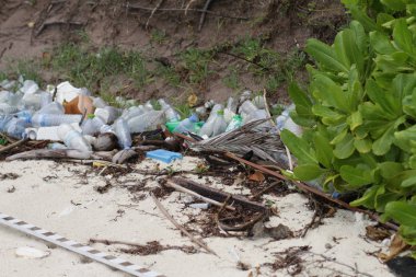 Tropikal plaj çevre sorunu üzerinde plastik kirliliği