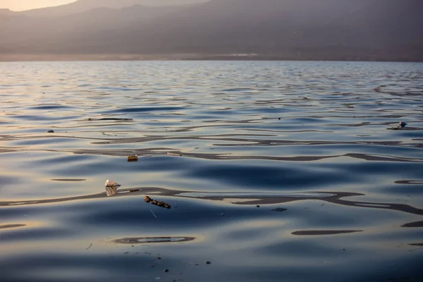 Morning ocean water with plastic garbage on it, pollution problem