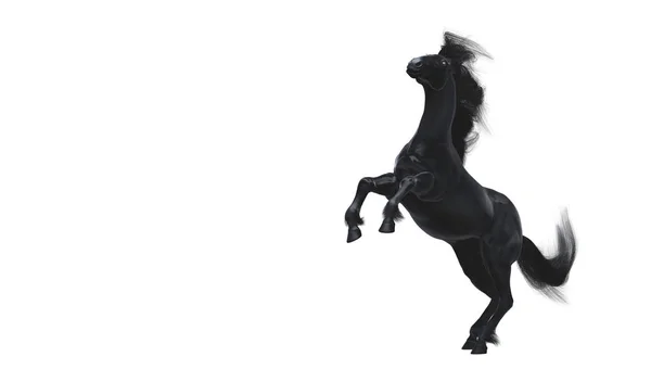 Черный Бегущий Конь Белом Фоне Иллюстрация — стоковое фото