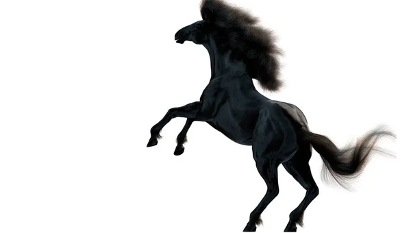 Caballo Negro Corriendo Sobre Fondo Blanco Ilustración —  Fotos de Stock