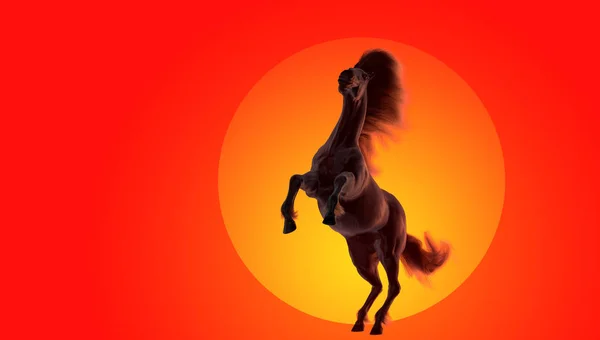 Black running horse on orange fire background, 3d illustration