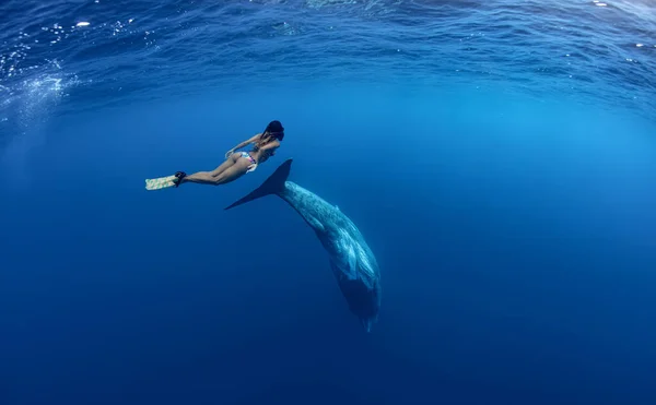 Fit Bir Kızın Derin Mavi Okyanus Suyunda Sperm Balinasıyla Yüzerken — Stok fotoğraf