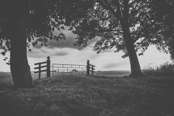 フラットと緑の草地の入口の古い木製のフェンス カンパー Eiland カンペン近くの干拓地を見て — ストック写真