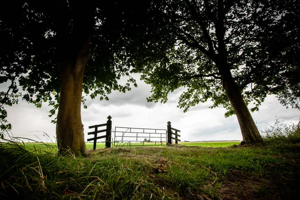 Old Wooden Fence Entrance Flat Green Grassland Look Polder Kamper — Stock Photo, Image