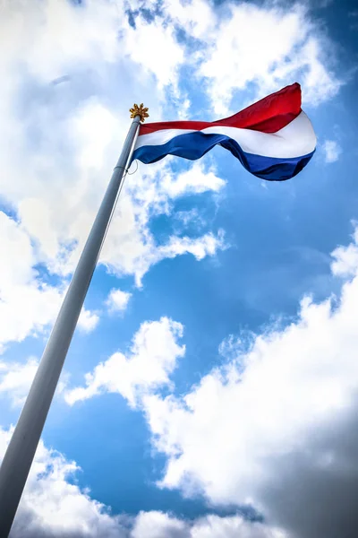 在皇家旗杆上挥舞着荷兰国旗 上面有金色王冠 为国家或节日的荷兰骄傲的阳光场面 — 图库照片