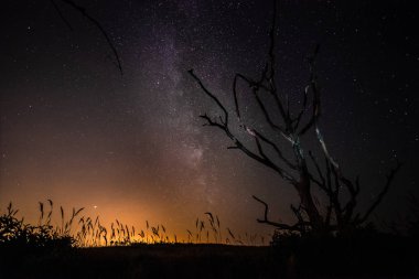 NET yıldızlı gökyüzü karanlık bir gece gökyüzünde yıldızın meteor yağmurunun tek kayan bir yıldız yağmuru sırasında. Samanyolu çekirdek ile güzel bir resim
