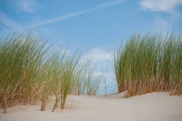 Details of empty beach with dunes waves.
