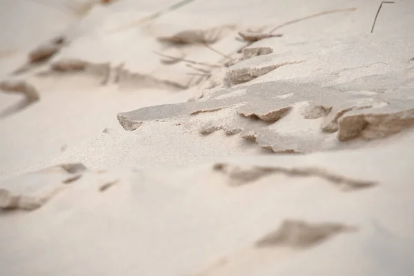 Parc Naturel National Avec Paysage Dunes Sur Côte Néerlandaise Paysage — Photo