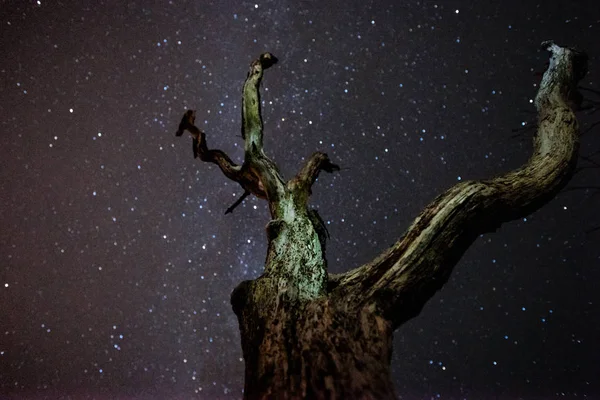 NET yıldızlı gökyüzü karanlık bir gece gökyüzünde yıldızın meteor yağmurunun tek kayan bir yıldız yağmuru sırasında. Samanyolu çekirdek ile güzel bir resim
