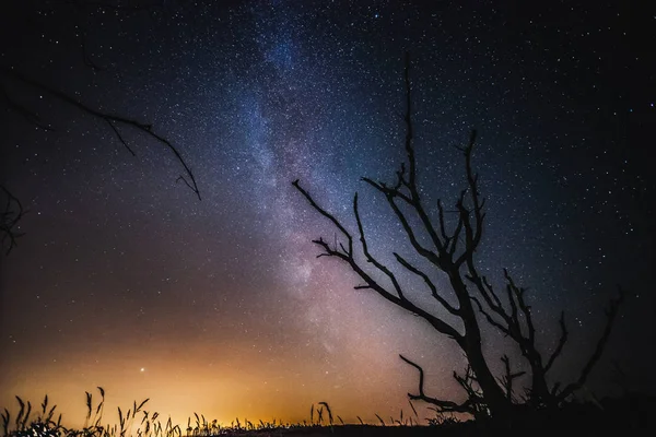NET yıldızlı gökyüzü karanlık bir gece gökyüzünde yıldızın meteor yağmurunun tek kayan bir yıldız yağmuru sırasında. Samanyolu çekirdek ile güzel bir resim