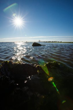 Düşük konumu sakin su ve yosun kaplı kayalar ile. Martılar taş deniz ve arka ışık fotoğraf için düşük güneş