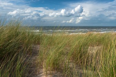 Sahilde kum tepeleri benzersiz bakış. Mavi deniz ve mavi gökyüzü ile beyaz bulutlar. Kuzey Denizi, Hollanda.