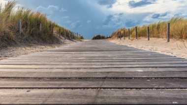 Patika ahşap uzun otların ile sand dunes ve sallanan arasında kum mavi gökyüzü ve beyaz bulutlar ile güneşli bir rüzgarda. Rekreasyon Hollanda deniz kıyısında güzel fotoğraf