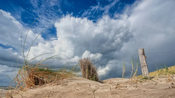 Piękne Zdjęcie Wzdłuż Paska Holenderskiego Wybrzeża Piaszczystymi Wydmami Sztorm Słoneczny — Zdjęcie stockowe