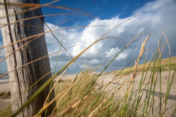 Prachtige Foto Met Uitzicht Nederlandse Kuststrook Met Zandduinen Brede Stranden — Stockfoto