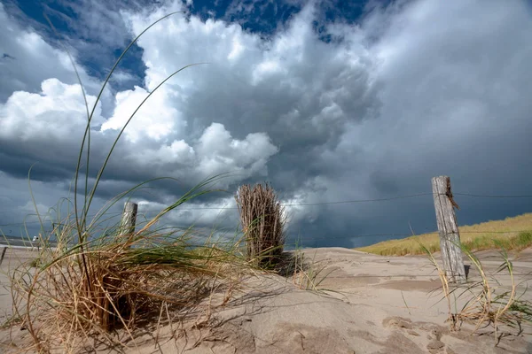 美丽的照片沿荷兰海岸地带与沙丘在一个晴朗 刮风的暴风雨日 在令人印象深刻的多云的天空下摇曳的沙丘草和惊人的沙丘 — 图库照片