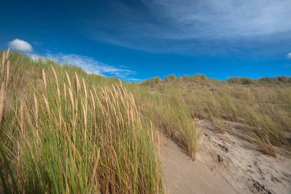 Egyedi Terv Homokdűnék Strandon Kék Tenger Kék Fehér Felhők Északi — Stock Fotó