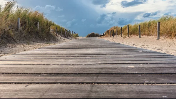 Wandelpad Van Hout Tussen Sand Dunes Met Hoog Gras Wiegende — Stockfoto